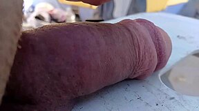 My Cock Drops and Bounces in Slow Motion Close-Up