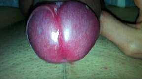 क्यूरियस ट्विंक होममेड क्लिप में अपना लंड एक्सप्लोर करता है