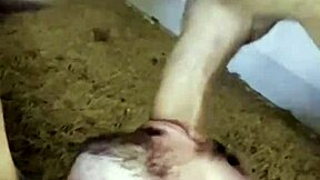 paulista drags carioca home for steamy street tease