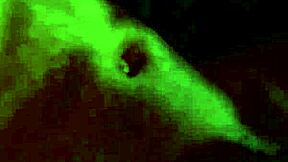 Why Is This Gay Black Muscle Jock Stroking So Hard?