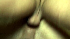 Intense Luxury Anal Hardcore Fucking