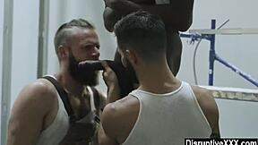 हंक वर्कर्स घूस के लिए गैंड ऑफर कर रहे हैं