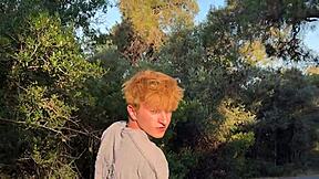 स्ट्रीट