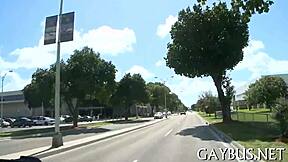 Homosexual Blow Job Porn