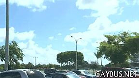 Homosexual Blow Job Porn